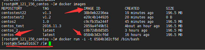 关于docker--详解安装，常规操作，导入导出等 - 303Donatello - 303Donatello